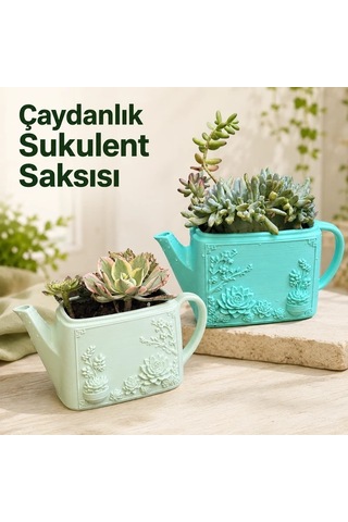 Çaydanlık Sukulent Saksısı Dekoratif Kaktüs Ve Sukulent Saksı