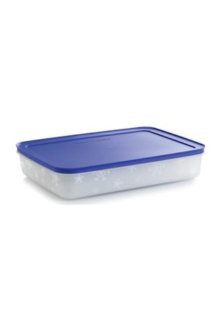 Tupperware Alaska Serisi Derin Dondurucu Saklama Kabı 225 L