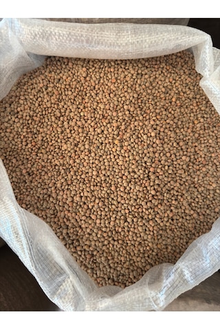 Bernami Biblo Pinterest Yeşil Köy Mercimeği 1 Kg