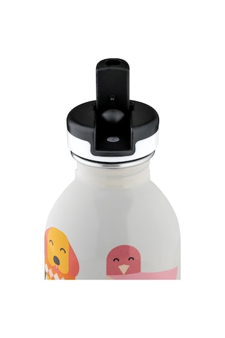 Kids Bottle Best Friends Pipetli Paslanmaz Çelik Çocuk Su Matarası 250 Ml Renkli