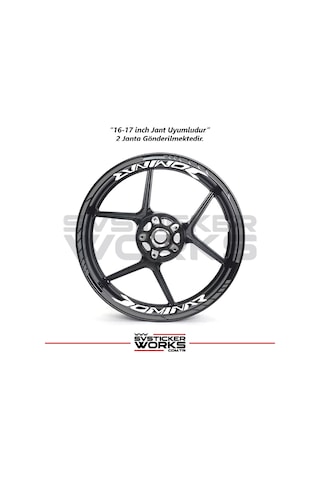 Bajaj Dominar Jant Sticker Dış Ve İç Set Sticker Jant Şeridi Gri