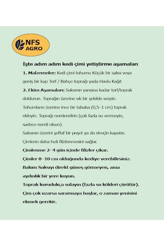 Kedi Çimi Tohumu 750 GR