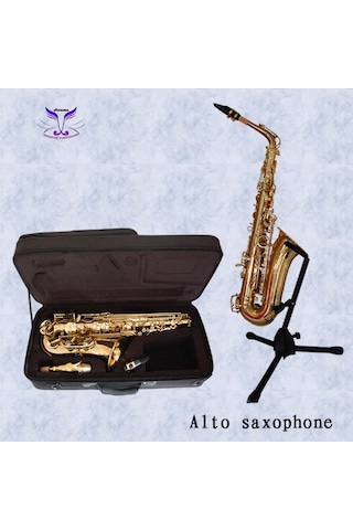 Bonson Xal1001 Gold Alto Saksafon Seti