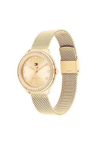 Tommy Hilfiger Th1782699 Kadın Kol Saati
