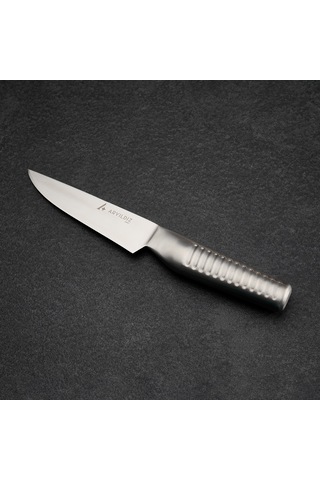 Aryıldız Durinox Et Bıçağı 14 Cm Çok Renkli