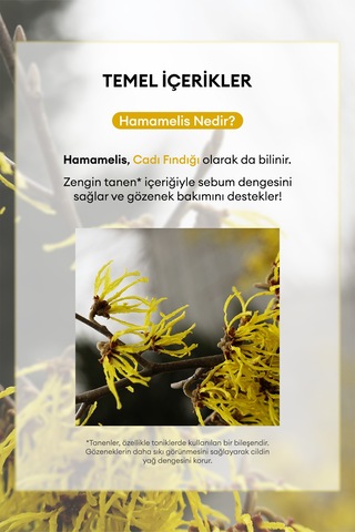 Missha A'PIEU Hamamelis Sheet Mask Yağlanma ve Gözenek Karşıtı Kağıt Maske