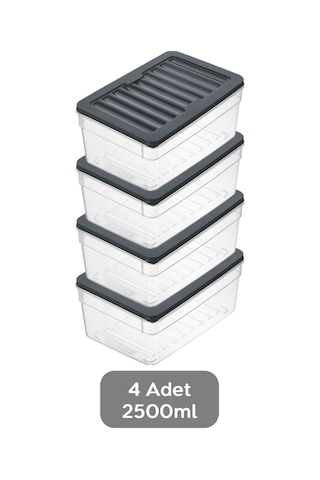 4'lü Derin Buzdolabı Organizer Set Düzenleyici Saklama Kabı Mikrodalga Difriz Kabı 2500 ML Antrasit
