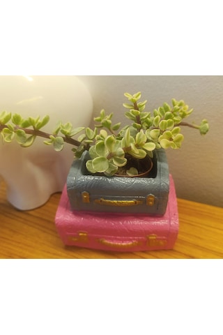 Artepieza Vintage Çift Bavul Saksı- Masaüstü Düzenleyici- Dekoratif Bavul Kalemlik Pembe-gri 12 8 1 Adet