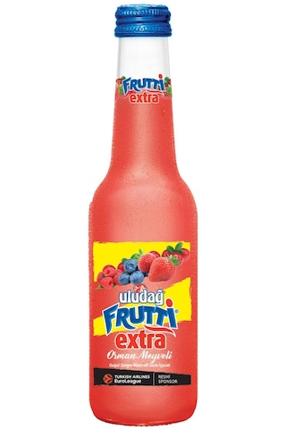 Uludağ Frutti Extra Orman Meyveli 250 Ml X 24 Adet