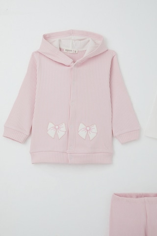 Breeze Kız Bebek Bodyli 3 Lü Takım Fiyonk Arma Nakışlı 4 Ay - 1 Yaş , Pembe