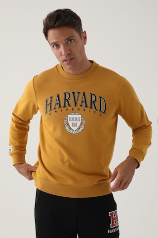 Harvard Koyu Hardal Erkek Sweatshirt Hardal