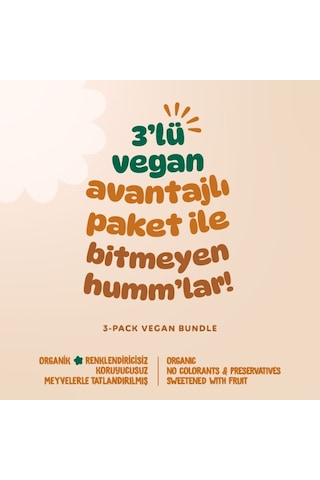 Organik Vegan Zencefilli Portakallı Çilekli Kurabiyeler Atıştırmalık Paketi - 3 Adet 3 Çeşit 165 G