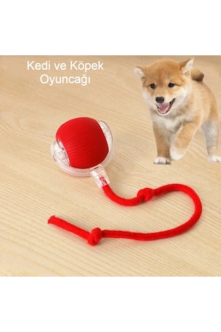 Akıllı Kendiliğinden Dönen Kedi Oyuncağı 360 Şarjlı Hareket Eğlence ve Egzersiz Kırmızı