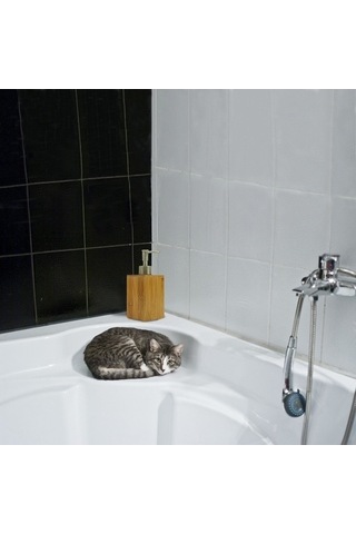 Tongxida Lezzetli Bosphorus Tutucu Şampuanlık Sabunluk Pompalı Mutfak Losyonu 220ml Kahverengi Kahverengi