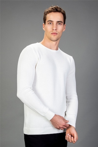 Tudors Slim Fit Dar Kesim Bisiklet Yaka Petek Desenli Erkek Kazak-14927 Beyaz