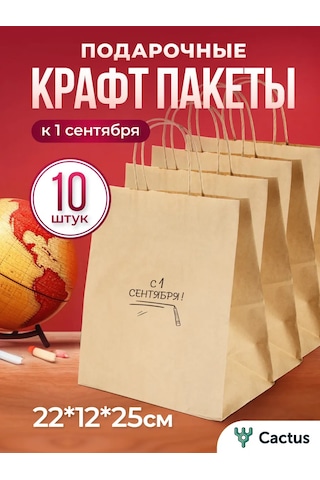 Cactus 1 Eylül İçin Süslenmiş Dekoratif Kraft Hediye Poşetleri, Kağıt 478495137