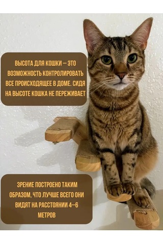 Go Cats Tırnak Törpü Merdiveni Sağ 142902982