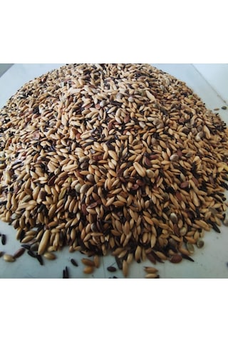 Natural Şalgamsız Karışık Kanarya Yemi 1 KG