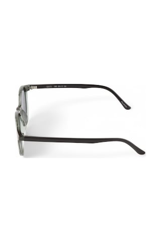Ojos 938 C6 50-17-135 Şeffaf - Gri