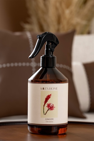 Ginger Oda Spreyi 500 Ml 2046 Fresh