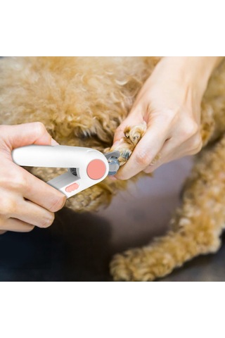 Geekyou Kedi Köpek Led Işıklı Tırnak Kesici, Kan Damarı Gördürücü, Ergonomik Tasarım, Paslanmaz Çelik, Mavi Renk