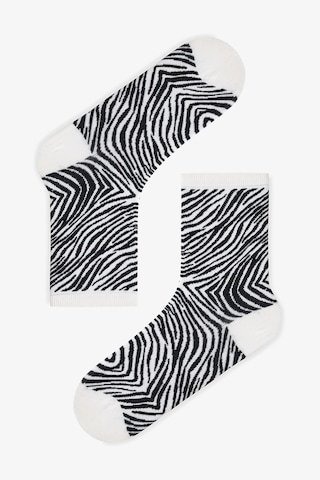 Penti Siyah Classy Zebra 3lü Soket Çorap