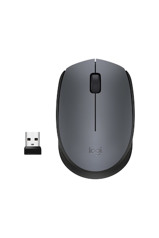 Logıtech M170 Kablosuz Siyah Mouse