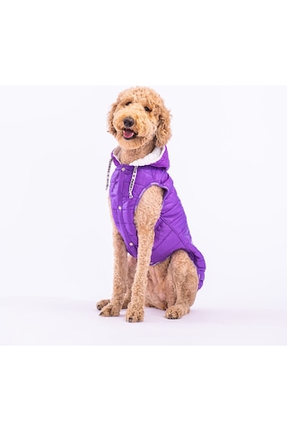 Pawstar Mor Railway Orta ve Büyük Irklar İçin Anorak Köpek Yeleği