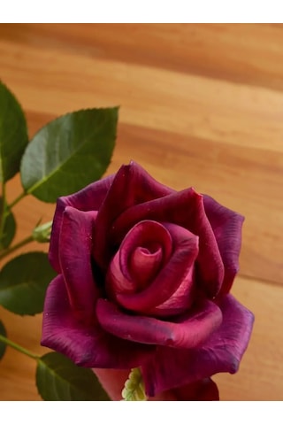 Koroleva Formy Silikon Kalıp Gül 3d 36146394 Diğer