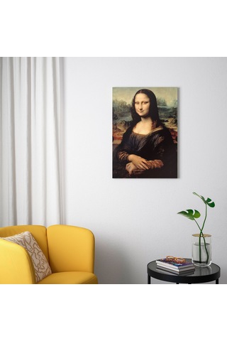 Ikea Pjätteryd Resim 50x70 Cm Çok Renkli 605.789.08