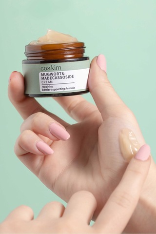 Mugwort Ve Madecassoside Içeren Yatıştırıcı Ve Onarıcı Nemlendirici Bakım Kremi 50 Ml