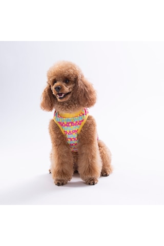 Lemon Party Tişört Kedi Köpek Tişörtü-kedi Köpek Kıyafeti