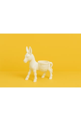 Donkey Sukulent & Kaktüs Dekoratif Saksı