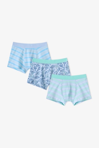 Penti Erkek Çocuk Mavi Dino Bones Çizgili Pamuklu 3lü Boxer