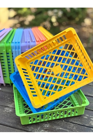 Domdacaogorod Soğanlı Bitkiler Ve Kelebek Yetiştirme Sepeti 383849206