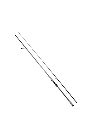 Ryuji Matrix Fuji 280 Cm 25-80 Gr Shore Jig Kamış
