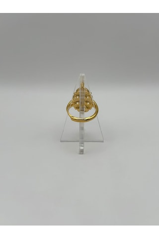 Arnes Jewelry Çelik 22 Ayar Altın Kaplama Ayarlanabilir Yüzük Ar506nes Gold