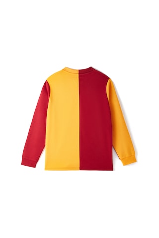 Gsstore Galatasaray 1925 Retro Forma E251158 Sarı - Kırmızı
