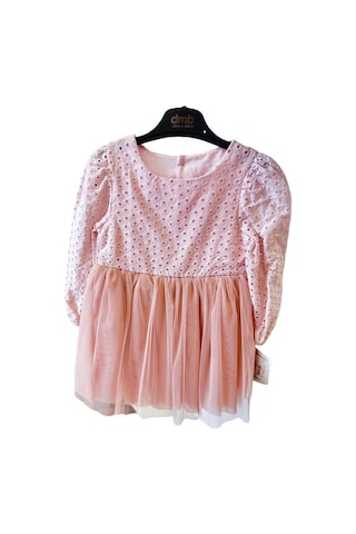 Kız Çocuk Altı Tüllü Üstü Güpürlü Elbise-12684-pudra Pudra