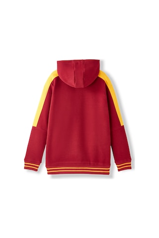 Gsstore Galatasaray Çocuk Hoodie C252065 Bordo