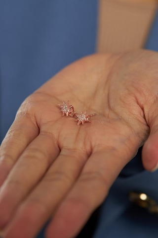 Roza Silver Zirkon Taşlı Rose Kutup Yıldızı Çivili Gümüş Küpe