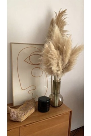 Pampas 10 Adet