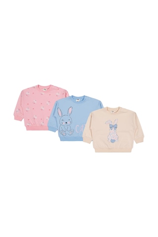 Civil Baby Tavşan Baskılı 3'lü Set 6-18 Ay Sweatshirt - Standart