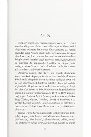 Patlayan Kuyrukluyıldızlar Ekspresyonist Öyküler: Modern Klasikler Serisi