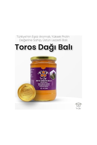 Toros Dağı Deve Dikeni Balı 860 G