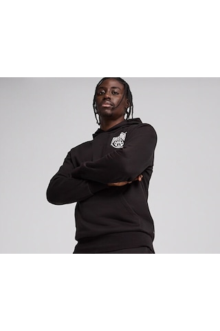 Puma Posterize Hoodie Erkek Günlük Sweatshirts 63029001 Renkli renkli