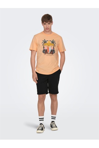 Only & Sons Onspeter Reg Twill 4481 Shorts Noos Erkek Şort-26442 - XS Siyah