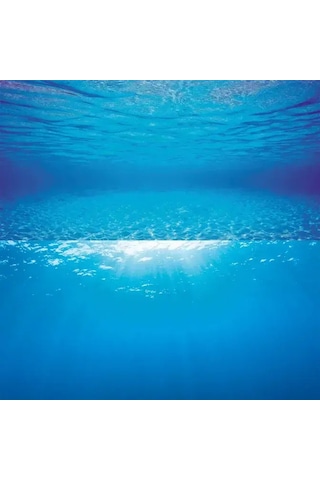 Juwel Poster1 Plant/reef - L Arka Fon 100 X 50 Cm