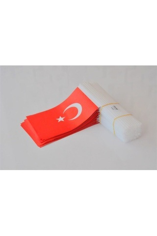 100 Adet Çubuklu Kağıt Türk Bayrağı Çıtalı Sopalı Ayyıldız Baskılı Bayrak