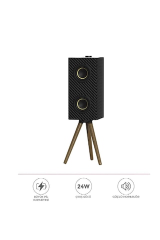 Torima D67 24 W 3000 mAh Kablosuz Taşınabilir Ayaklı Hoparlör